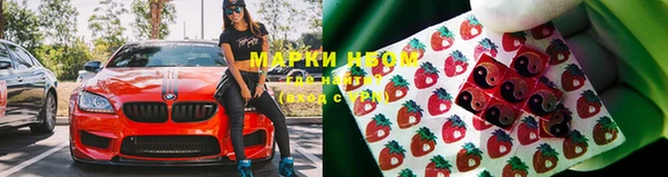 амф Алзамай