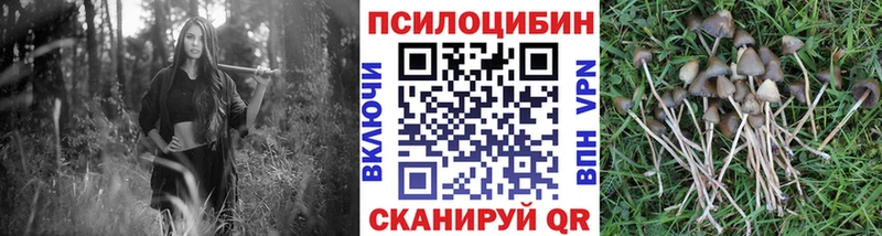 Псилоцибиновые грибы ЛСД гидра ССЫЛКА Набережные Челны