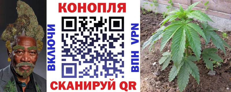 Бошки Шишки сатива  Набережные Челны 